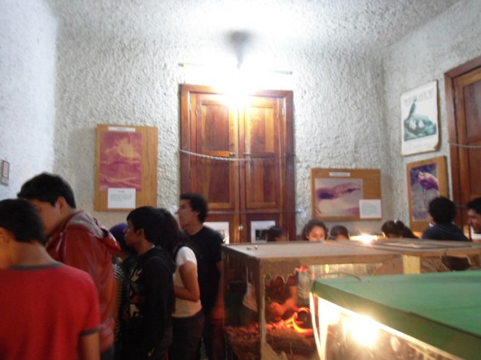museo de la fauna macuiltepetl